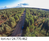 Вид с воздуха на дорогу среди молодого леса, грибные места. Стоковое фото, фотограф Илья Якунин / Фотобанк Лори