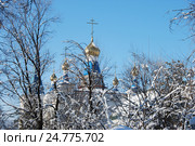 Бишкек. Кафедральный собор Воскресения Христова. (2016 год). Стоковое фото, фотограф syngach / Фотобанк Лори