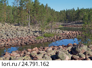 Уксинская озовая гряда. Карелия. Стоковое фото, фотограф Юлия Васюнцова / Фотобанк Лори