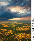 Forest in autmn, top view. Стоковое фото, фотограф Владимир Мельников / Фотобанк Лори