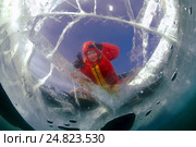 The girl looks through ice. lake Baikal, Siberia, Russia, island Olkhon. Стоковое фото, фотограф Некрасов Андрей / Фотобанк Лори