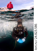 Ice-diving, in lake Baikal, Siberia, Russia, island Olkhon (2011 год). Редакционное фото, фотограф Некрасов Андрей / Фотобанк Лори