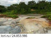 Mudpot in the Uzon Caldera. Kronotsky Nature Reserve (2016 год). Редакционное фото, фотограф Юлия Машкова / Фотобанк Лори