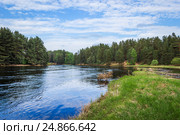 Река Молога течет среди леса. Стоковое фото, фотограф Илья Якунин / Фотобанк Лори