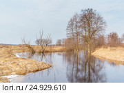 Весеннее половодье. Стоковое фото, фотограф Дмитрий Тищенко / Фотобанк Лори
