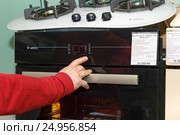 Мужчина проверяет работу газовой плиты (2017 год). Редакционное фото, фотограф Акиньшин Владимир / Фотобанк Лори