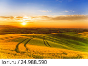Сельский пейзаж Тосканы, Италия, San Quirico d'Orcia (2015 год). Стоковое фото, фотограф Наталья Волкова / Фотобанк Лори
