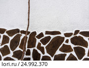 Branch of vine on a background of a stuccoed wall. Стоковое фото, фотограф Дмитрий Петраков / Фотобанк Лори