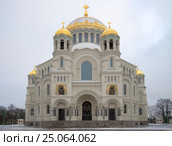 Никольский морской собор крупными планом сумрачным январским днем. Кронштадт, Россия (2017 год). Стоковое фото, фотограф Виктор Карасев / Фотобанк Лори