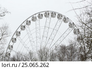 Колесо обозрения в парке. Стоковое фото, фотограф Иван Козлович / Фотобанк Лори