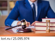 Handsome judge with gavel sitting in courtroom. Стоковое фото, фотограф Elnur / Фотобанк Лори