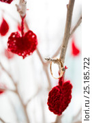 Love tree. Стоковое фото, фотограф Илона Кутенко / Фотобанк Лори