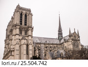 Notre Dame Cathedral (2017 год). Стоковое фото, фотограф Александр Перепелицын / Фотобанк Лори