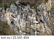 Отхарский скальный монастырь, Абхазия (2017 год). Стоковое фото, фотограф Анна Мартынова / Фотобанк Лори