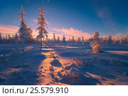Зимний пейзаж. Лес на фоне заката. Стоковое фото, фотограф Оксана Владимировна Грачева / Фотобанк Лори