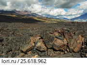 Lava field at Tolbachik volcano, after eruption in 2012 on background Big Udina volcano and Plosky Tolbachik volcano, Klyuchevskaya Group of Volcanoes (2016 год). Редакционное фото, фотограф Юлия Машкова / Фотобанк Лори