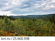 Вид с горы на лесные просторы. Северная Карелия. Россия. Стоковое фото, фотограф Наталья Осипова / Фотобанк Лори