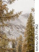 Forested mountains. Eastern Sayan mountains. Стоковое фото, фотограф Виталий Веревкин / Фотобанк Лори