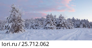 Frosty morning in a forest glade. Стоковое фото, фотограф Виталий Веревкин / Фотобанк Лори