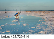 Мальчик собирает кристаллы соли в перенасыщенной солью воде. Salt Plains National Wildlife Refuge, Oklahoma, US (2012 год). Стоковое фото, фотограф Ирина Кожемякина / Фотобанк Лори