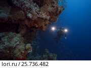 Underwater videooperator shoting scool of fish near coral reef, Red sea, Sharm El Sheikh, Sinai Peninsula, Egypt. Стоковое фото, фотограф Некрасов Андрей / Фотобанк Лори