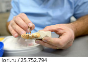 Dental technician in dental laboratory. Стоковое фото, фотограф Iordache Magdalena / Фотобанк Лори