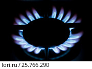 Включенная газовая конфорка. Стоковое фото, фотограф Евгений Кашпирев / Фотобанк Лори