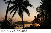 Tropical jungle background with palm tree silhouettes at sunrise. Стоковое видео, видеограф Valentyn Kondratiuk / Фотобанк Лори