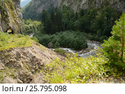 Старая лесовозная дорога вдоль реки Гега в Абхазии, Кавказ. Стоковое фото, фотограф Константин Бабенко / Фотобанк Лори