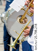Trumpet and player (2016 год). Редакционное фото, фотограф Владимир Докучаев / Фотобанк Лори