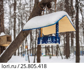 Feeders for birds in the park to feed the birds in winter. Стоковое фото, фотограф Artem Sobov / Фотобанк Лори