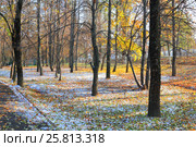 После первого снега. Стоковое фото, фотограф Михаил Старшов / Фотобанк Лори