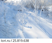 Зимняя зарисовка (2007 год). Стоковое фото, фотограф Анатолий Заводсков / Фотобанк Лори