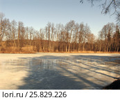 Замерзший пруд ранней весной. Усадьба Мцыри. Середниково. (2007 год). Стоковое фото, фотограф Анатолий Заводсков / Фотобанк Лори