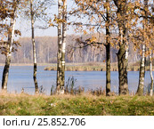 Осенний пейзаж с первым льдом на воде. Вашутино, река Химка (2004 год). Стоковое фото, фотограф Анатолий Заводсков / Фотобанк Лори