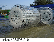 Zorbing. Runs inside a transparent sphere. Стоковое фото, фотограф Фотограф / Фотобанк Лори