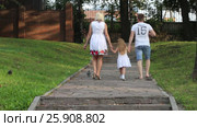 Mother, father, little daughter walk in summer park, back view. Стоковое видео, видеограф Светлана Додух / Фотобанк Лори