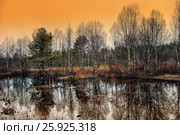 Река Понча ранней весной. Россия. Республика Карелия. Стоковое фото, фотограф Наталья Осипова / Фотобанк Лори