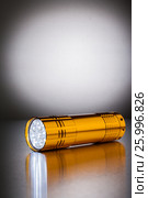 Golden pocket LED flashlight. Стоковое фото, фотограф Alexander / Фотобанк Лори