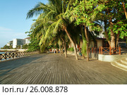 Morning tourist embankment with palm trees along beach at Dadonghai Bay on Hainan Island, China. Стоковое фото, фотограф Юлия Машкова / Фотобанк Лори