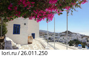 Wind playing with flower shrub on a terrace of traditional white house, Ios island, Greece. Стоковое видео, видеограф Matej Kastelic / Фотобанк Лори