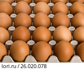 Large, brown eggs in cardboard packing. Стоковое фото, фотограф Андрей Есин / Фотобанк Лори
