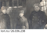 Сын полка. Фотография военных лет, 1943 год. Стоковое фото, фотограф Retro / Фотобанк Лори