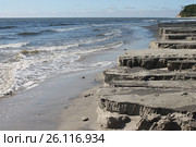 Пляж в поселке Янтарный Калининградской области (2015 год). Стоковое фото, фотограф Наташа Антонова / Фотобанк Лори