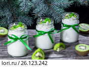 Yogurt with kiwi and mint in a glass jars, close-up. Стоковое фото, фотограф Oksana Zh / Фотобанк Лори