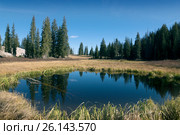 Маленькое высокогорное озеро и хвойный лес. Dog Lake, Uinta-Wasatch-Cache national forest.  Штат Юта, США (2014 год). Стоковое фото, фотограф Ирина Кожемякина / Фотобанк Лори