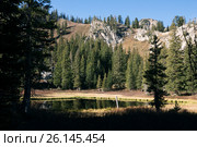 Небольшое высокогорное озеро и хвойный лес. Lake Martha, Uinta-Wasatch-Cache national forest.  Штат Юта, США (2014 год). Стоковое фото, фотограф Ирина Кожемякина / Фотобанк Лори