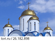 Купола храма в честь Торжества Православия в Алтуфьево (Москва, Алтуфьевское шоссе, дом 77, корпус 2) (2017 год). Стоковое фото, фотограф Александр Замараев / Фотобанк Лори