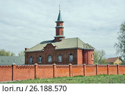 Орехово-Зуевская соборная мечеть в Орехово-Зуеве, улица Лапина, 28 Московской области (2017 год). Стоковое фото, фотограф stargal / Фотобанк Лори