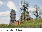 Церковь Параскевы Пятницы Великомученицы (Церковь Троицы Живоначальной). Горбачиха. Орехово-Зуевский р-н. Московская область (2017 год). Стоковое фото, фотограф stargal / Фотобанк Лори